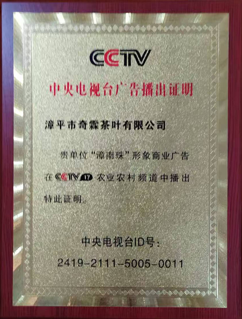 中央电视台广告播出证明